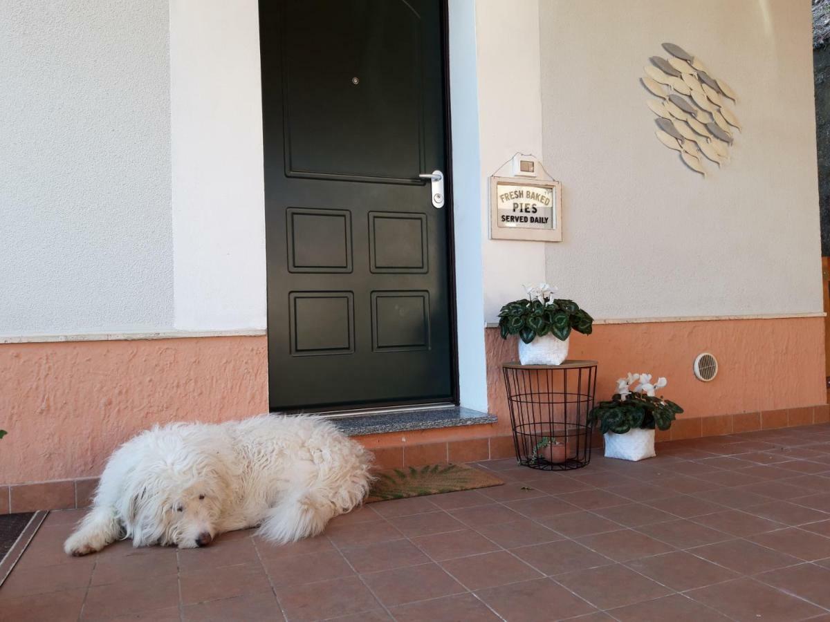 B&B Ai Tre Archi スポトルノ エクステリア 写真